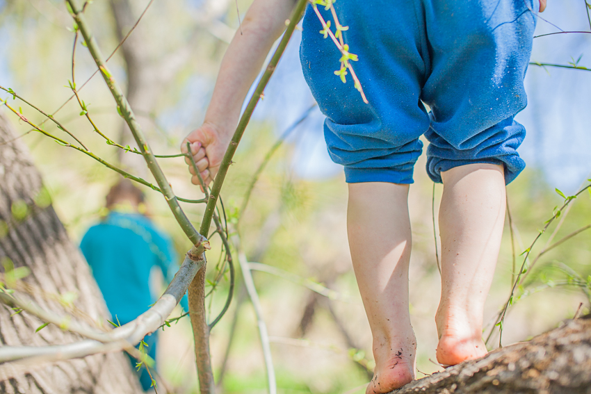 family-photographer-young-nsw