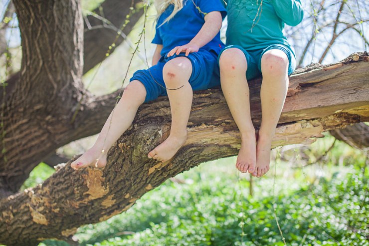 family-photographer-young-nsw