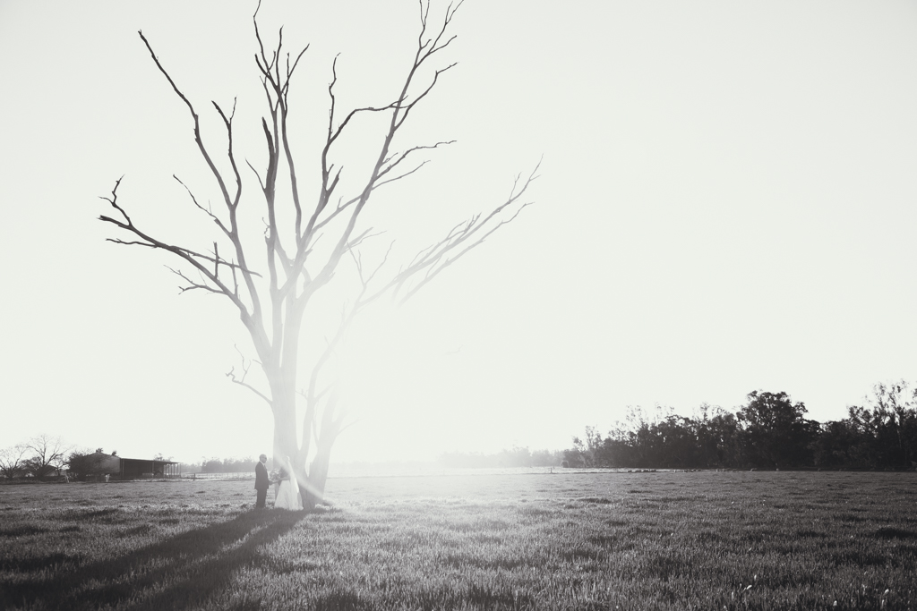 The Starrs (680 of 913)