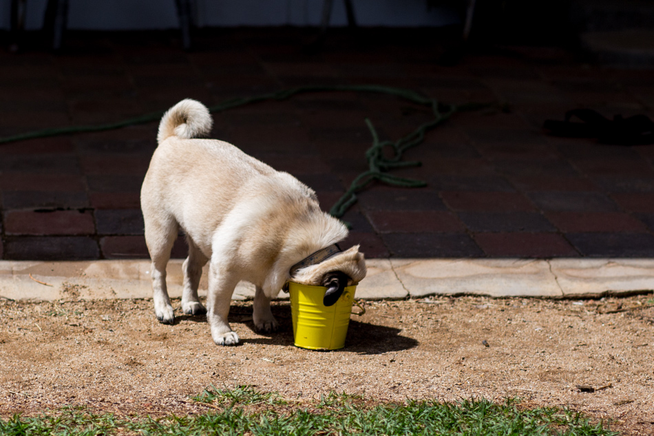 Jordan & Nikita web (89 of 923)