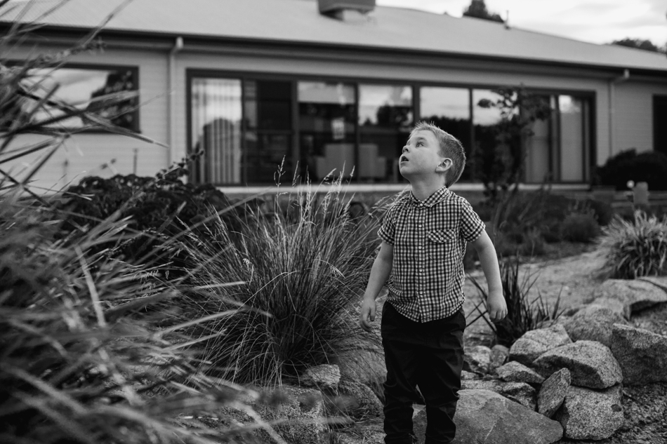 hewitt-family-lr-87-of-89