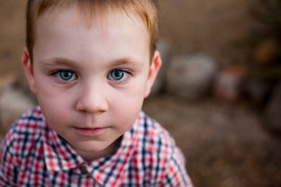 hewitt-family-lr-89-of-89